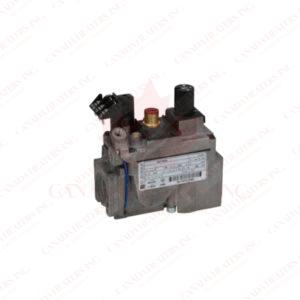 Gas Valve 0820301