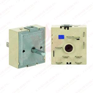 EGO Energy Regulator 50.55021.100