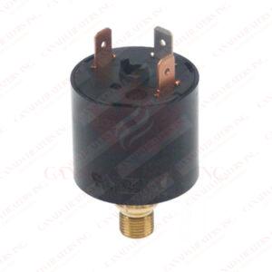 Pressure Switch PS010